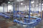 Used Complete Flexline Frozen Meal Kitchen and Assembly Production Line. Accuracy: Precision meal component placement within a tray. Variety: 11 depositing stations for meal components, sauce, glaze ...