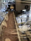 Used Paxiom Weighpack Cannabis Flower Bottle Packaging Line