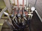 Used Durand-Wayland Fruit Sizing, Polishing and Bag Packaging Line