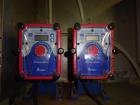 Used Durand-Wayland Fruit Sizing, Polishing and Bag Packaging Line