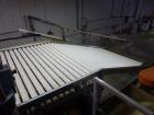 Used Durand-Wayland Fruit Sizing, Polishing and Bag Packaging Line