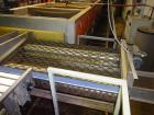 Used Durand-Wayland Fruit Sizing, Polishing and Bag Packaging Line
