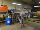 Used Durand-Wayland Fruit Sizing, Polishing and Bag Packaging Line