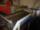 Used Durand-Wayland Fruit Sizing, Polishing and Bag Packaging Line