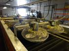 Used Durand-Wayland Fruit Sizing, Polishing and Bag Packaging Line