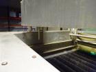 Used Durand-Wayland Fruit Sizing, Polishing and Bag Packaging Line