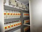 Used Durand-Wayland Fruit Sizing, Polishing and Bag Packaging Line