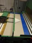 Used Durand-Wayland Fruit Sizing, Polishing and Bag Packaging Line