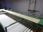 Used Durand-Wayland Fruit Sizing, Polishing and Bag Packaging Line