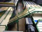Used Durand-Wayland Fruit Sizing, Polishing and Bag Packaging Line