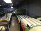 Used Durand-Wayland Fruit Sizing, Polishing and Bag Packaging Line
