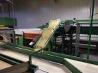 Used Durand-Wayland Fruit Sizing, Polishing and Bag Packaging Line