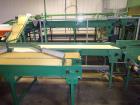 Used Durand-Wayland Fruit Sizing, Polishing and Bag Packaging Line
