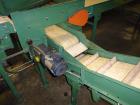 Used Durand-Wayland Fruit Sizing, Polishing and Bag Packaging Line