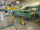 Used Durand-Wayland Fruit Sizing, Polishing and Bag Packaging Line