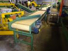 Used Durand-Wayland Fruit Sizing, Polishing and Bag Packaging Line