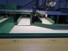 Used Durand-Wayland Fruit Sizing, Polishing and Bag Packaging Line
