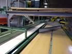 Used Durand-Wayland Fruit Sizing, Polishing and Bag Packaging Line