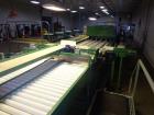 Used Durand-Wayland Fruit Sizing, Polishing and Bag Packaging Line