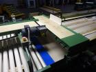 Used Durand-Wayland Fruit Sizing, Polishing and Bag Packaging Line
