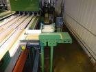 Used Durand-Wayland Fruit Sizing, Polishing and Bag Packaging Line