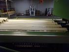 Used Durand-Wayland Fruit Sizing, Polishing and Bag Packaging Line