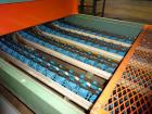 Used Durand-Wayland Fruit Sizing, Polishing and Bag Packaging Line