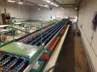 Used Durand-Wayland Fruit Sizing, Polishing and Bag Packaging Line