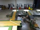 Used Durand-Wayland Fruit Sizing, Polishing and Bag Packaging Line
