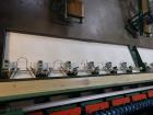 Used Durand-Wayland Fruit Sizing, Polishing and Bag Packaging Line
