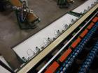 Used Durand-Wayland Fruit Sizing, Polishing and Bag Packaging Line
