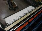 Used Durand-Wayland Fruit Sizing, Polishing and Bag Packaging Line