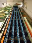 Used Durand-Wayland Fruit Sizing, Polishing and Bag Packaging Line