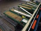 Used- Durand-Wayland Fruit Sizing, Polishing and Bag Packaging Line