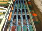 Used Durand-Wayland Fruit Sizing, Polishing and Bag Packaging Line