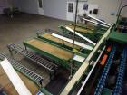 Used Durand-Wayland Fruit Sizing, Polishing and Bag Packaging Line