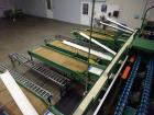 Used- Durand-Wayland Fruit Sizing, Polishing and Bag Packaging Line