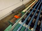Used Durand-Wayland Fruit Sizing, Polishing and Bag Packaging Line