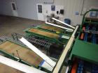 Used Durand-Wayland Fruit Sizing, Polishing and Bag Packaging Line