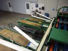 Used- Durand-Wayland Fruit Sizing, Polishing and Bag Packaging Line