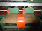 Used Durand-Wayland Fruit Sizing, Polishing and Bag Packaging Line