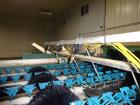 Used- Durand-Wayland Fruit Sizing, Polishing and Bag Packaging Line