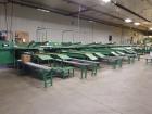 Used Durand-Wayland Fruit Sizing, Polishing and Bag Packaging Line