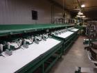Used Durand-Wayland Fruit Sizing, Polishing and Bag Packaging Line