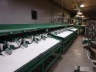 Used- Durand-Wayland Fruit Sizing, Polishing and Bag Packaging Line