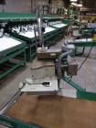 Used Durand-Wayland Fruit Sizing, Polishing and Bag Packaging Line