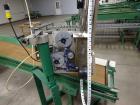 Used Durand-Wayland Fruit Sizing, Polishing and Bag Packaging Line
