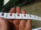 Used Durand-Wayland Fruit Sizing, Polishing and Bag Packaging Line