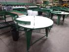 Used Durand-Wayland Fruit Sizing, Polishing and Bag Packaging Line