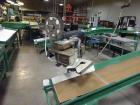 Used Durand-Wayland Fruit Sizing, Polishing and Bag Packaging Line